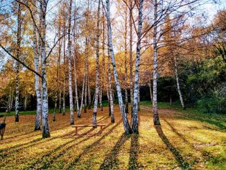 Energija je svuda oko nas - i mi smo energija, sve što postoji je energija i vibracija