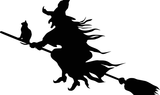 Vestica energomedicina